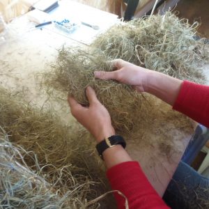 MISE EN CRIN TRADITIONNELLE